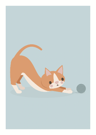 Orange Katze spielend