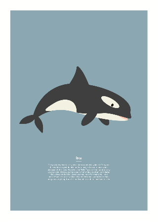 Orca