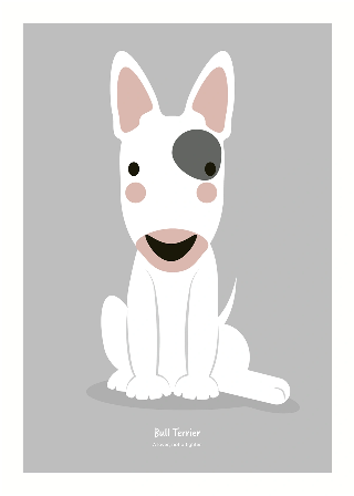 Bullterrier