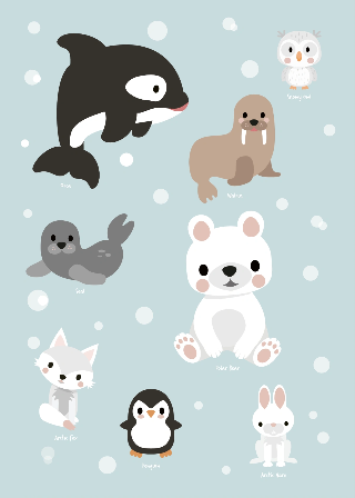 Vorschau von Poster: Arktische Tiere