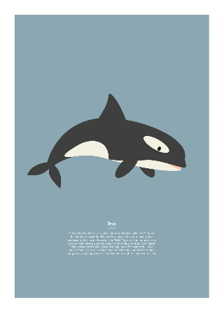 Vorschau von Poster: Orca