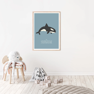 Vorschau von Poster: Orca