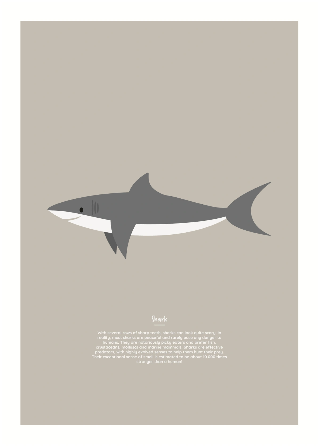 Vorschau von Poster: Hai
