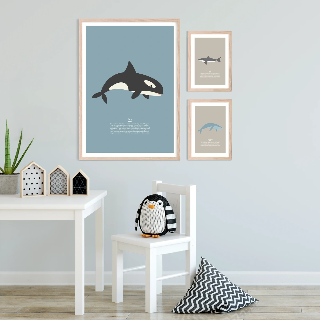 Vorschau von Poster: Hai