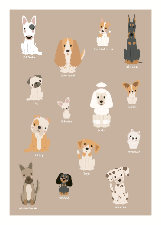 Vorschau von Poster: Hunde