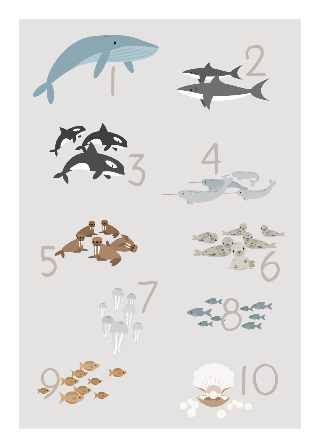 Vorschau von Poster: Zahlen und Meerestiere