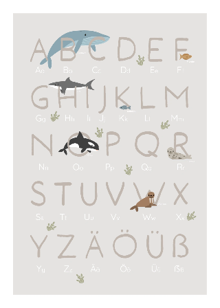Vorschau von Poster: Alphabet mit Meeresbewohnern