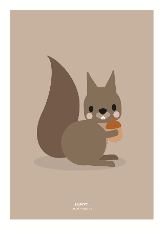 Vorschau von Poster: Eichhörnchen