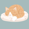 Orange Katze 2