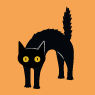 Schwarze Katze