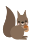 Eichhörnchen