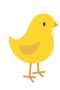 Kücken