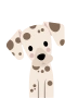 Dalmatiner