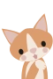 Katze