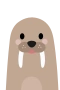 Walross