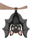 Fledermaus