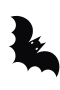 Fledermaus