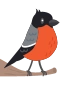 Dompfaff