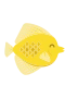 Gelber Chirurgenfisch