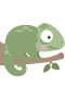 Chamäleon