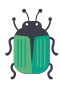 Käfer