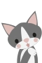 Graue Katze