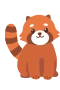 Roter Panda
