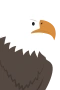 Adler