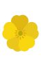 Butterblume