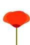 Mohn