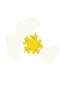 Erdbeerblüte