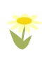 Gelbe Blume
