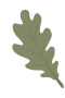 Eichenblatt