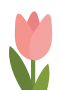Rosa Tulpe