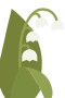 Maiglöckchen