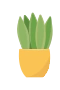 Topfpflanze