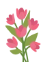 Tulpen