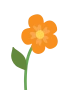 Orange Blume
