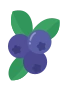 Blaubeere