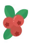 Preiselbeeren