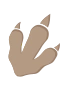 Dinopfote 1