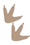 Dinopfote 2