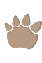 Dinopfote 3