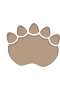 Dinopfote 4