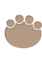 Dinopfote 5