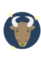 Stier