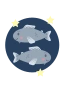 Fische