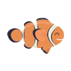 Clownfisch