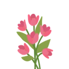 Tulpen