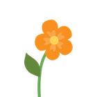 Orange Blume